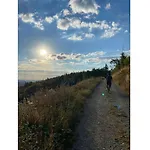 Nature Quarter *
